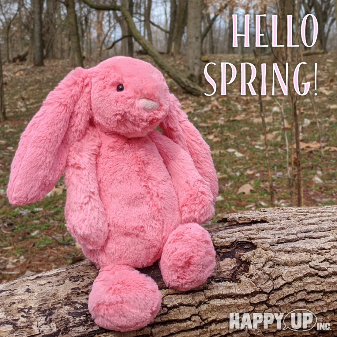 bashful coral bunny