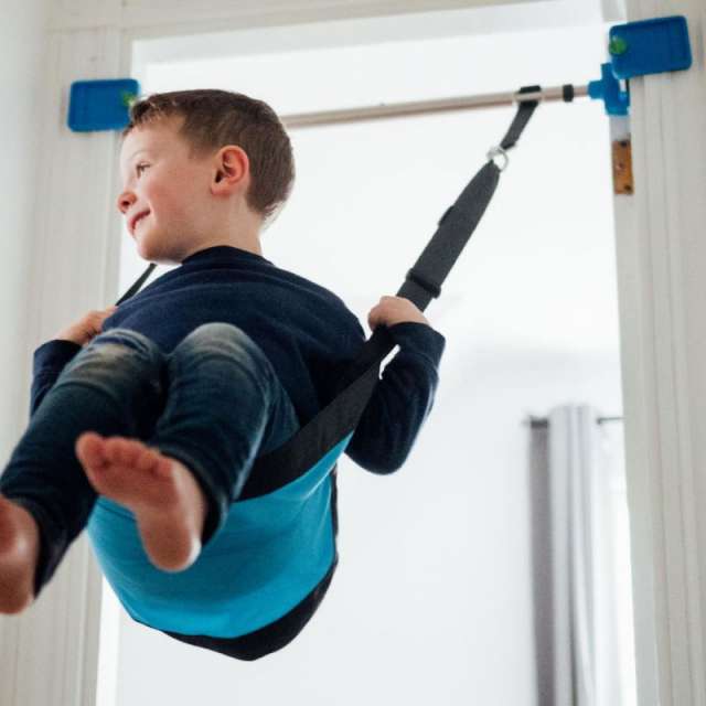 Kidtrix Doorway Swing