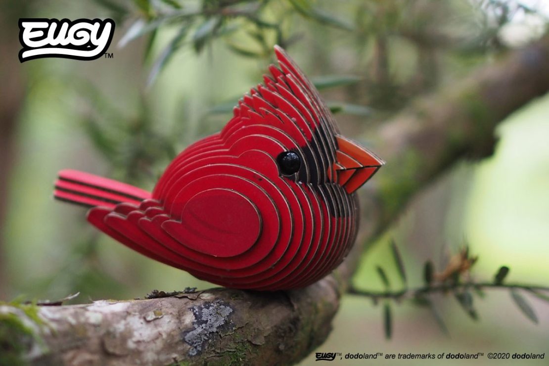 Cardinal Eugy 3D Model