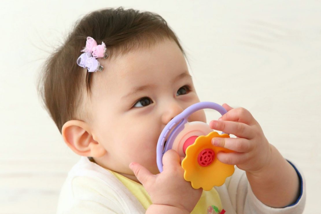 Toyroyal Floral Whistle Teether