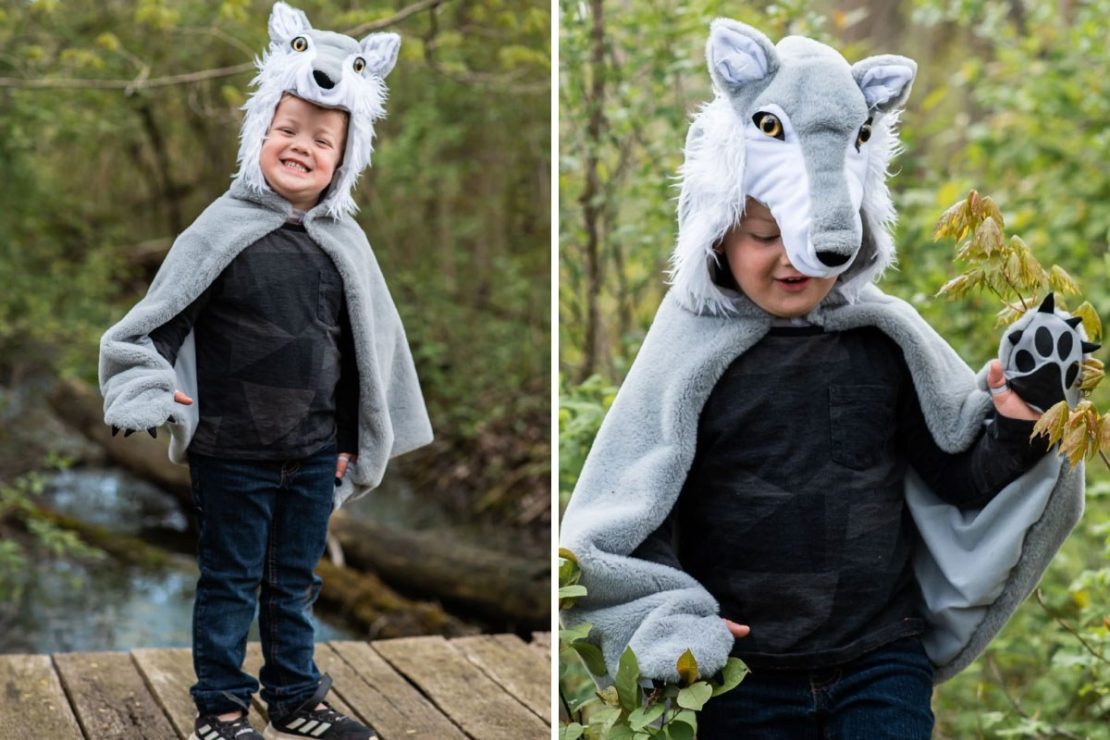 Woodland Storybook Wolf Cape