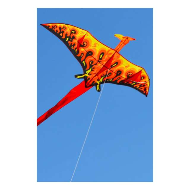 Phoenix Kite