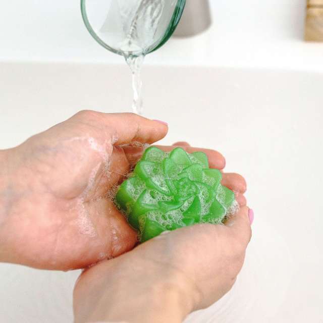 Lush Succulent Bar Soap
