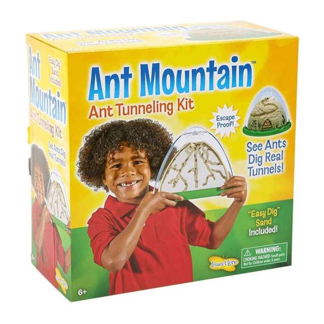 Insect Lore Ant Mountain