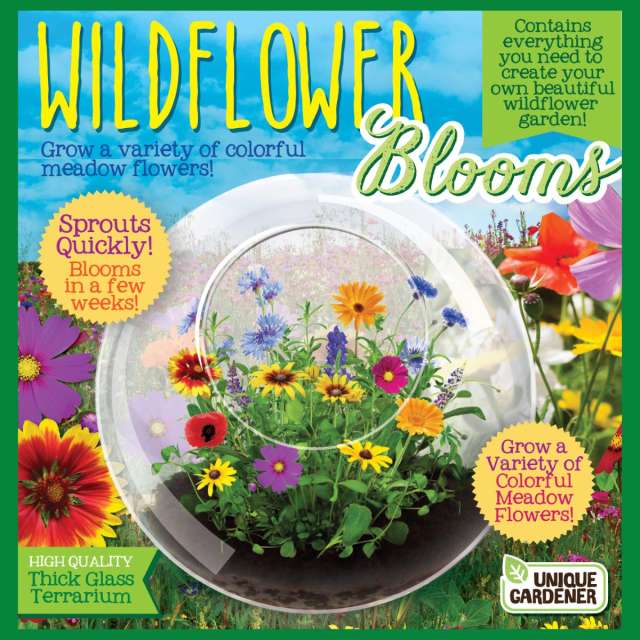 Wildflower Blooms Glass Terrarium