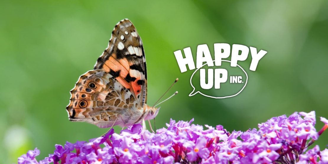 Meet new buggy friends with STEM sets from Happy Up!