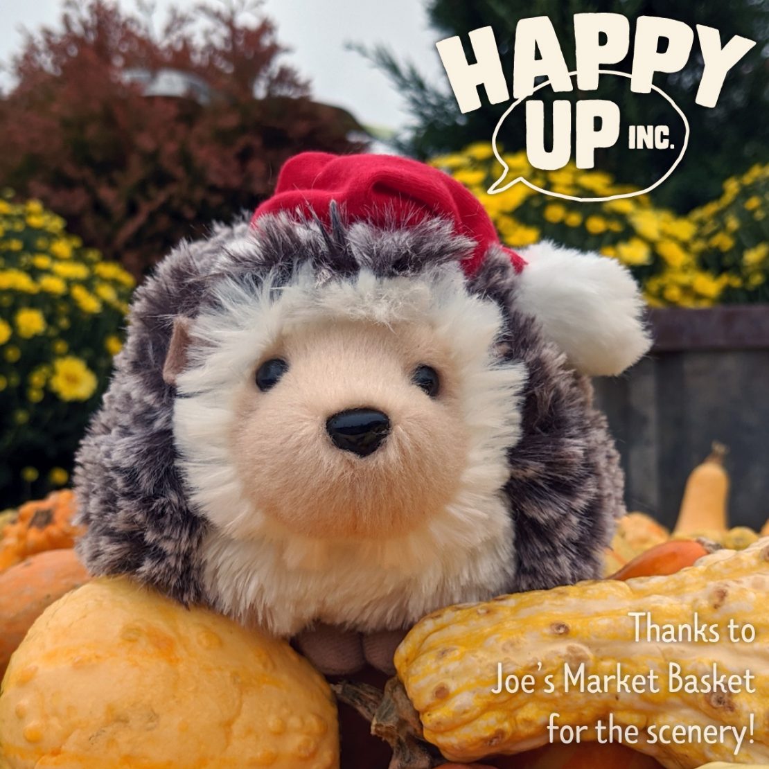 Hedgie is Holiday Ready!