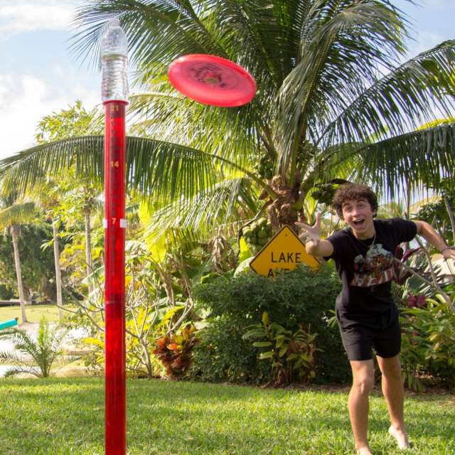 Lighted Poles Disc Game