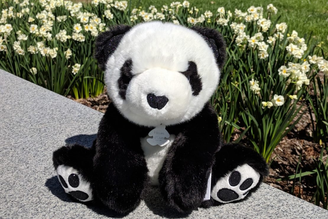 Histoire d'Ours Panda