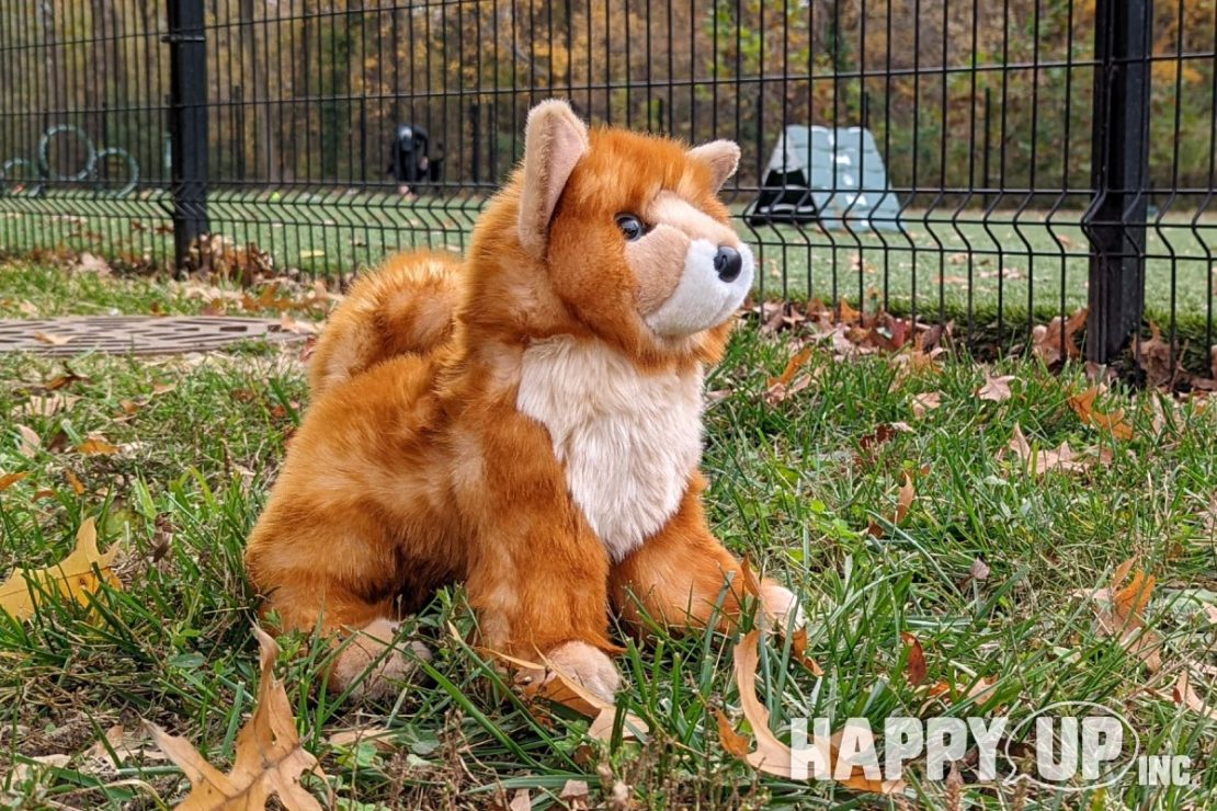 Pomsky clearance stuffed animal