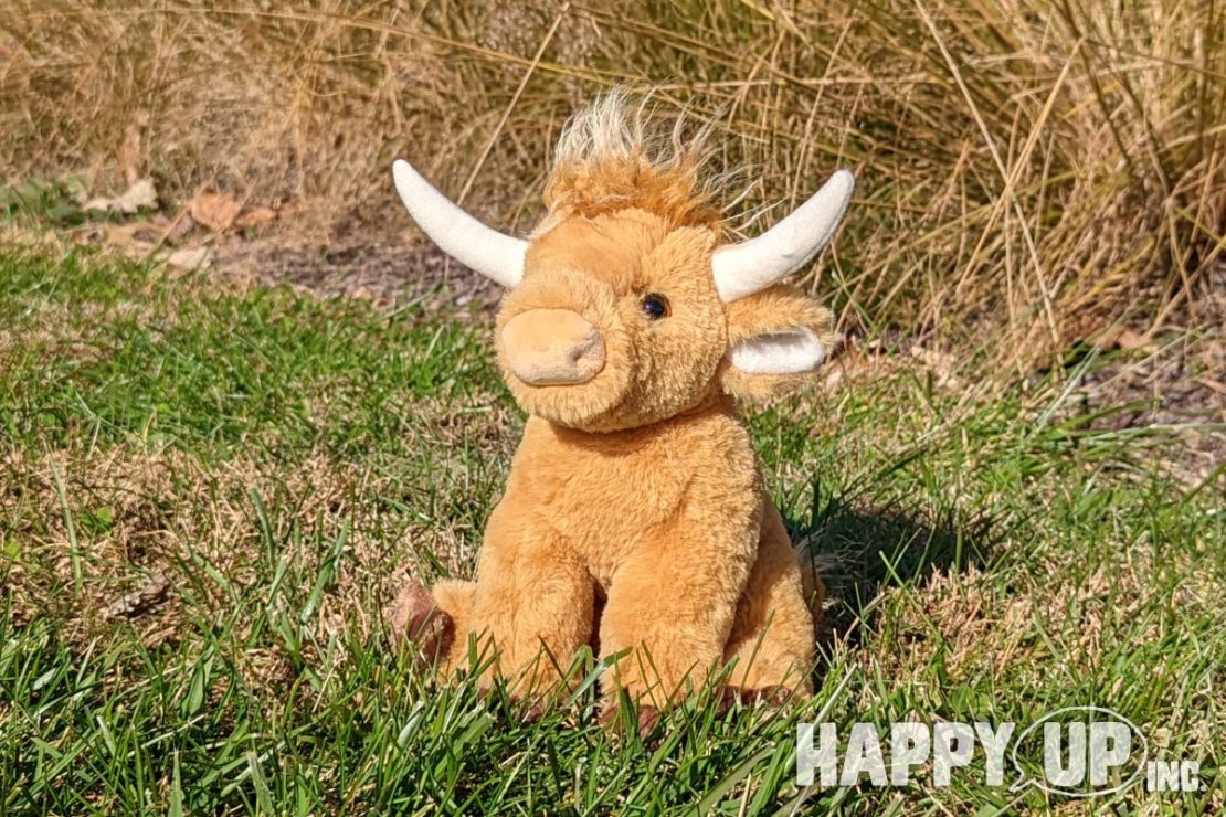 Scottie the Highland Cow Softie