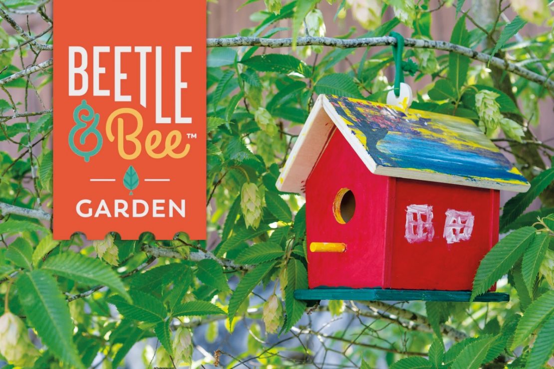 Beetle & Bee Kid's Garden Creature Houses