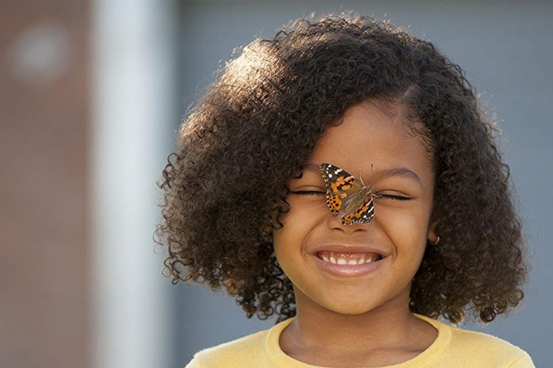 Insect-lore-butterfly-garden-girl