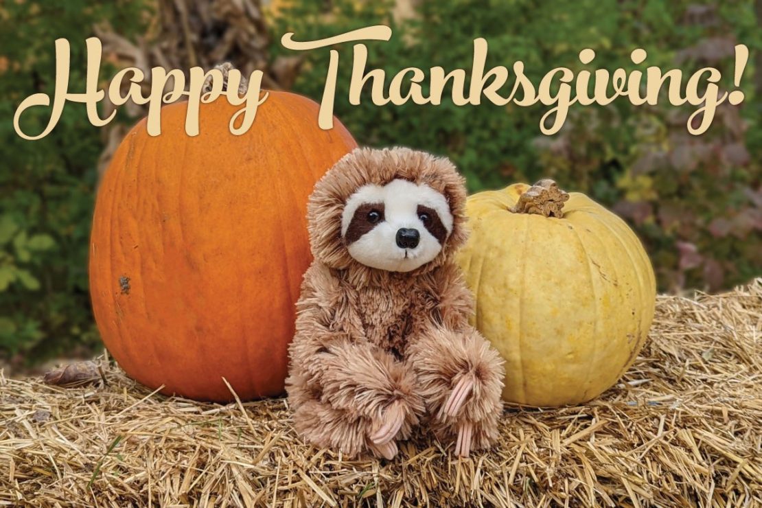 Happy Thanksgiving from Happy Up to You!