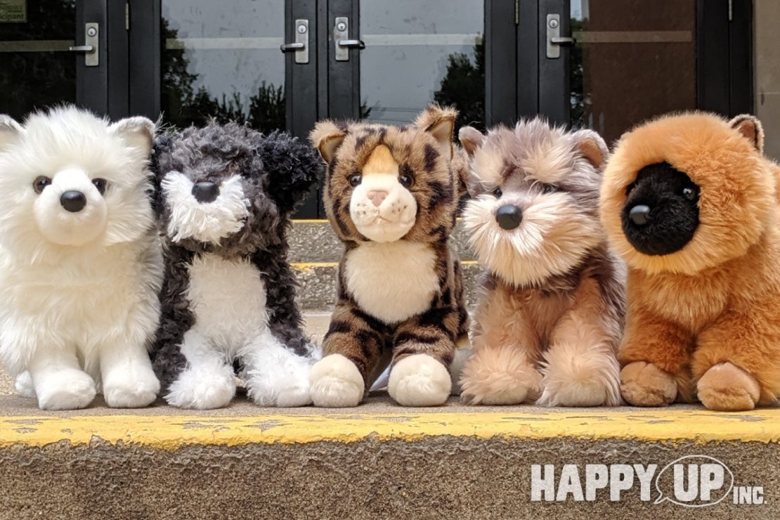 Douglas Plush Puppies and Kitten are ready for school!