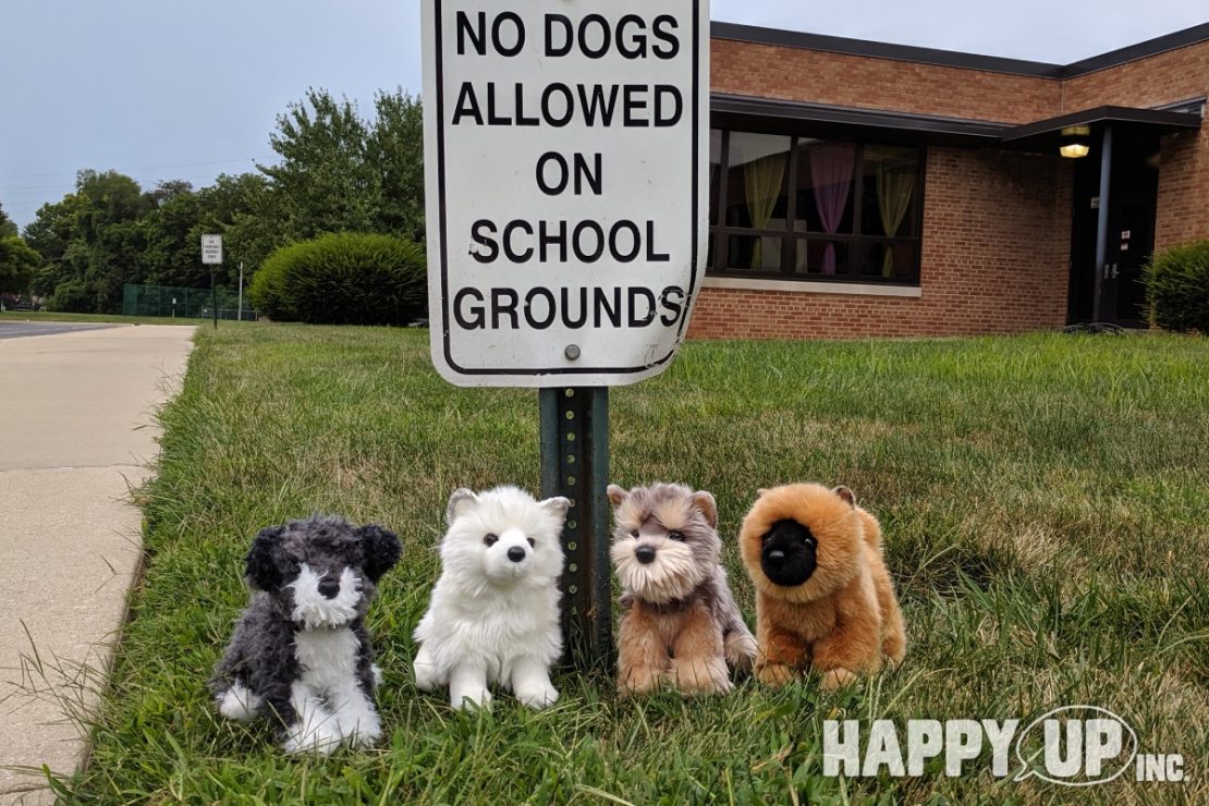 Douglas Plush Puppies break the no-dogs-allowed rule
