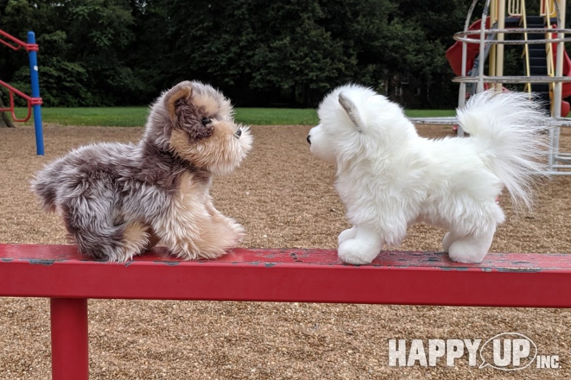 Douglas Plush Puppies becoming friends