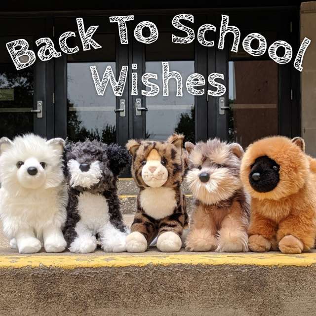 Back to School Wishes from Happy Up