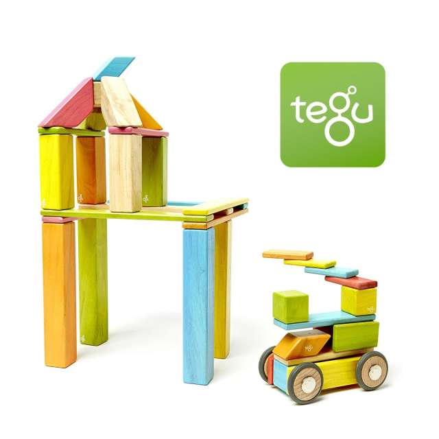 Tegu Classic 42 Piece Set