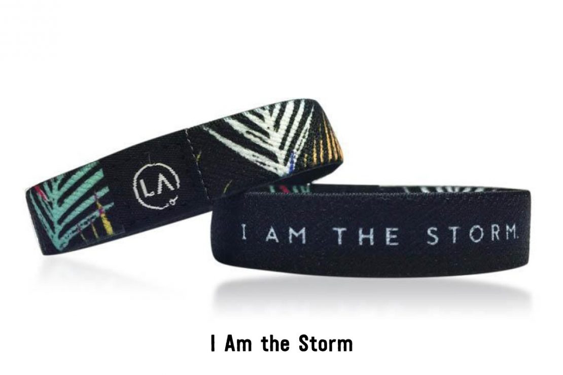 Reassure Band: I Am The Storm.