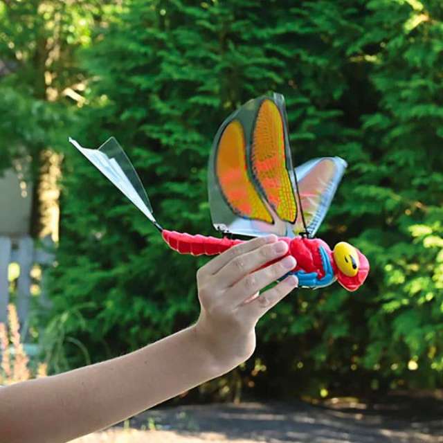 Charged Dragonfly