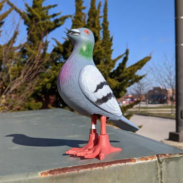 Peppy Pigeon Wind Up