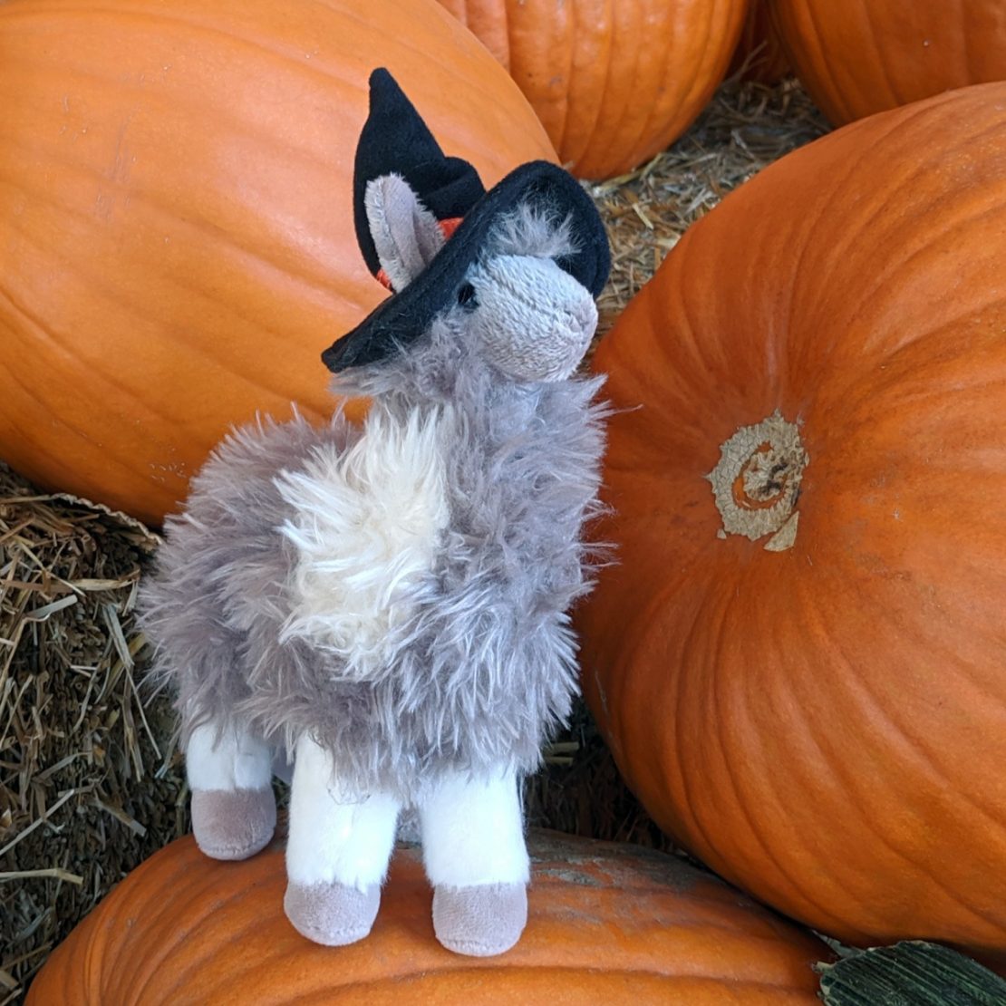 10 23 19 halloween llama sq