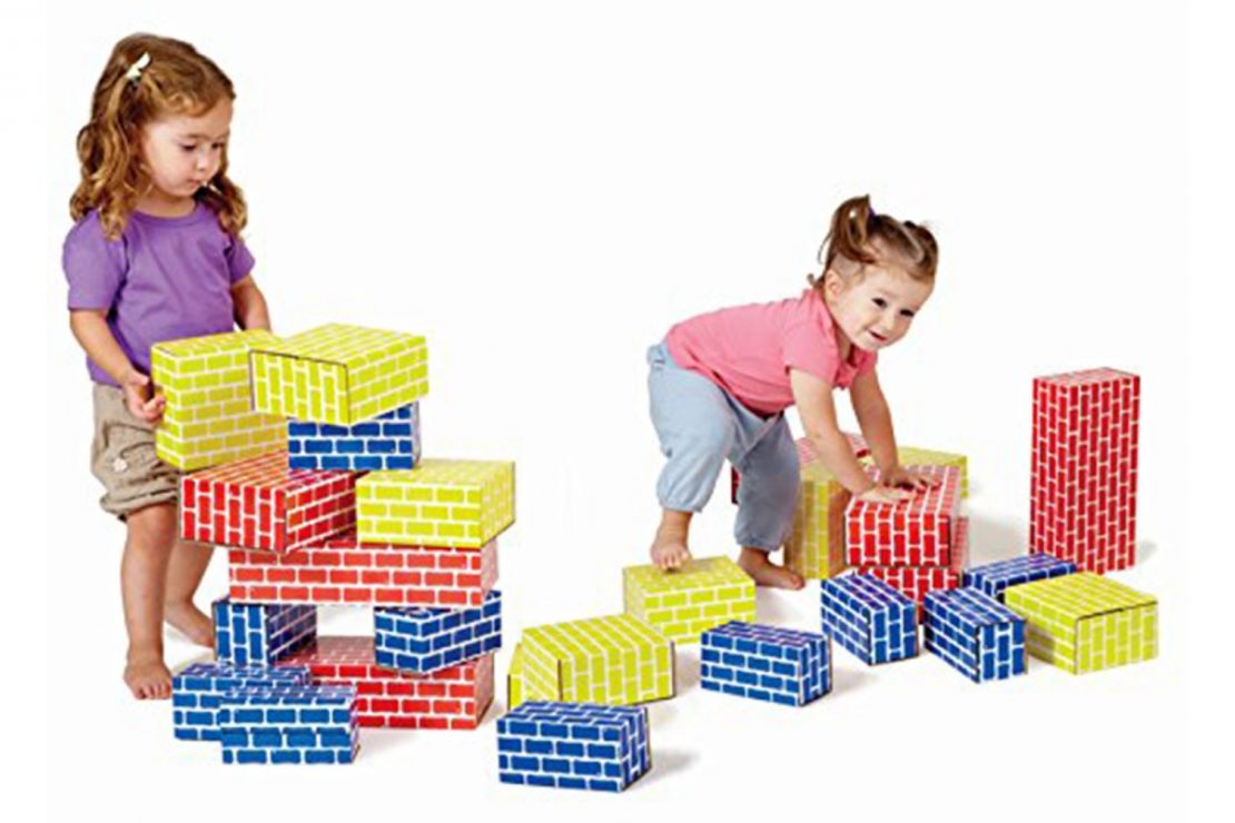 Smart Monkey Cardboard Blocks