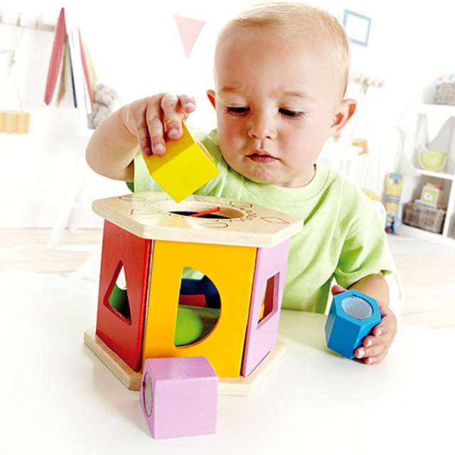 Shake & Match Shape Sorter from Hape