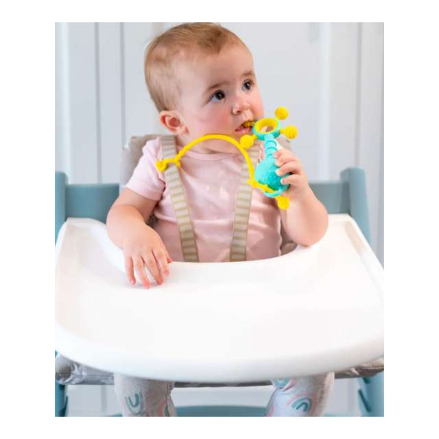 Gumlii Sensory Teether & Rattle