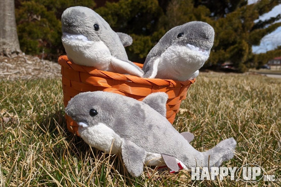 Bitsy Sharks from Douglas