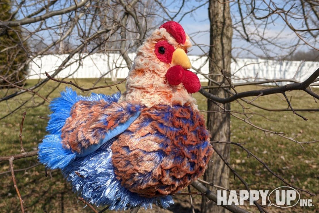 Henrietta the Blue Lace Hen from Douglas