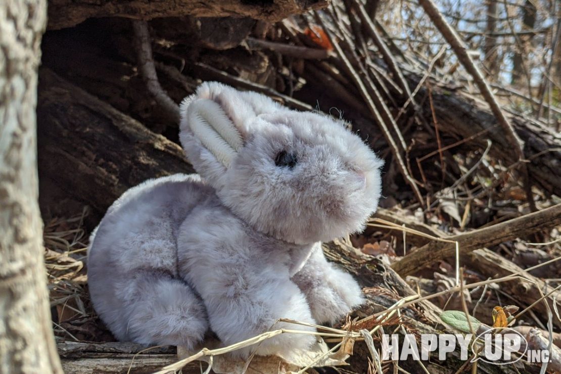 Tyler the Grey Bunny from Douglas