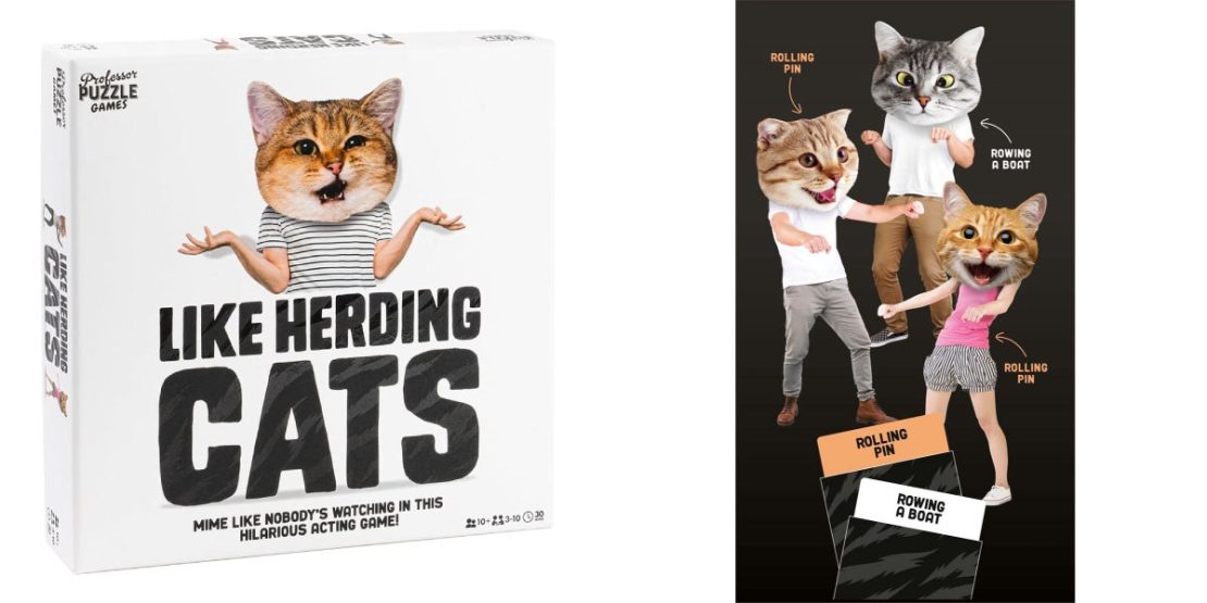 Blog herding cats