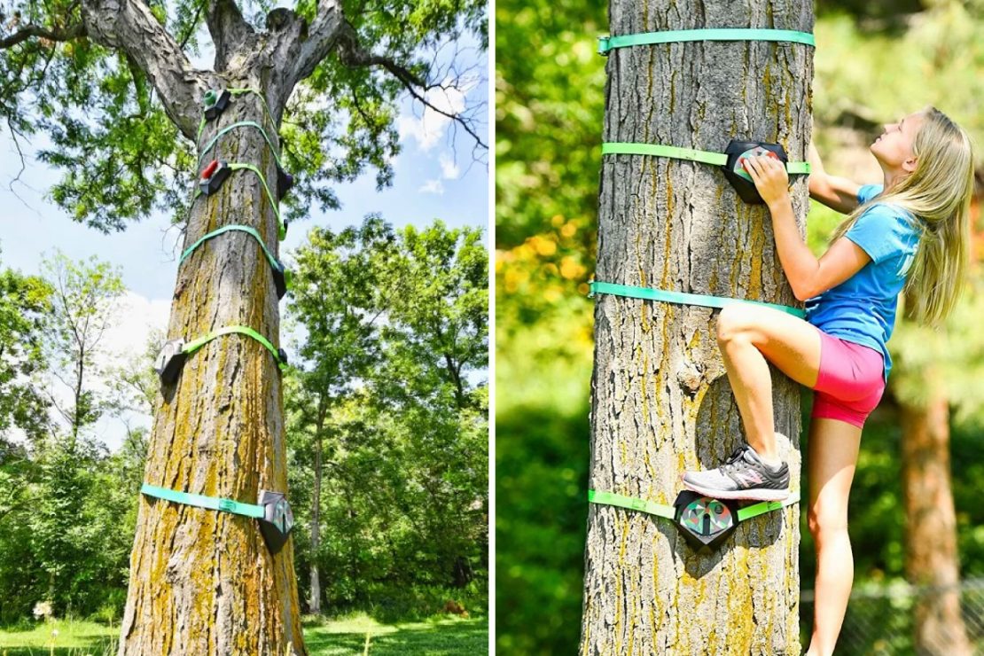 Slackers Tree Climbers