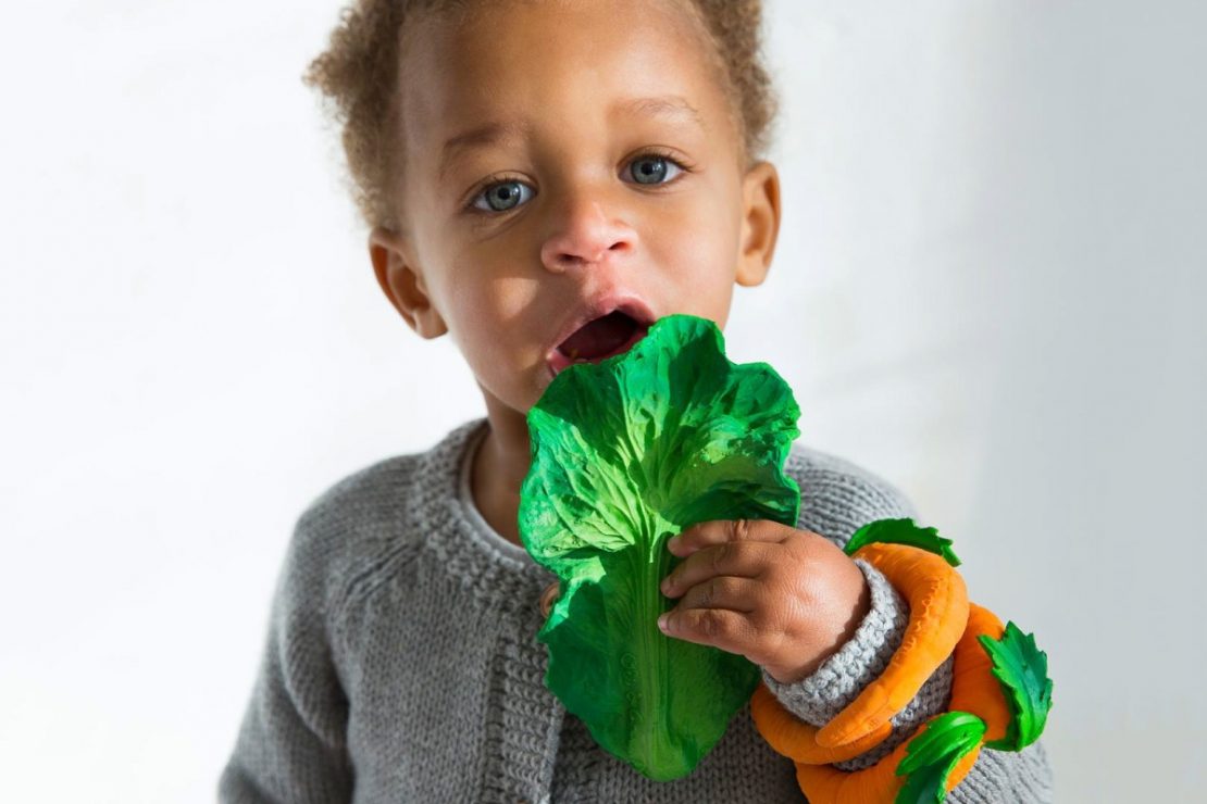 Oli & Carol Vegetable Teethers