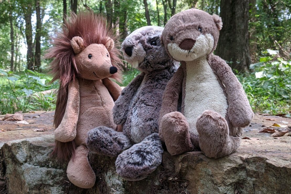 Bashful Hedgehog, Beaver, and Otter from Jellycat