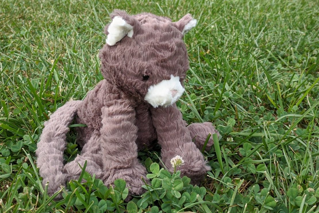 Fuddlewuddle cat sale