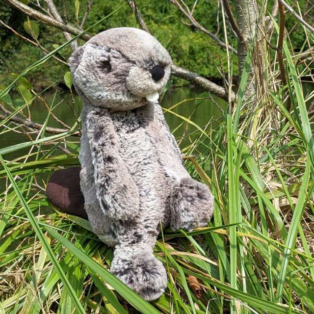 Bashful Beaver from Jellycat