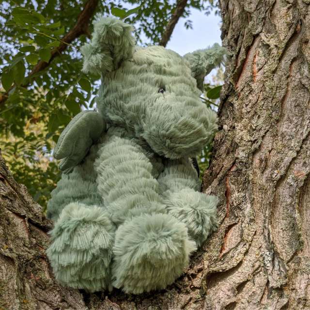 Fudlewuddle Dragon from Jellycat