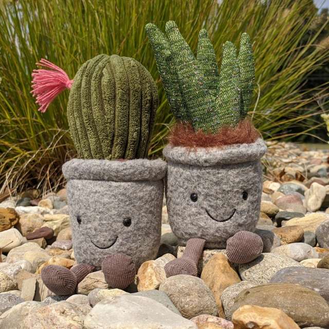 Silly Succulent Cactus and Aloe from Jellycat