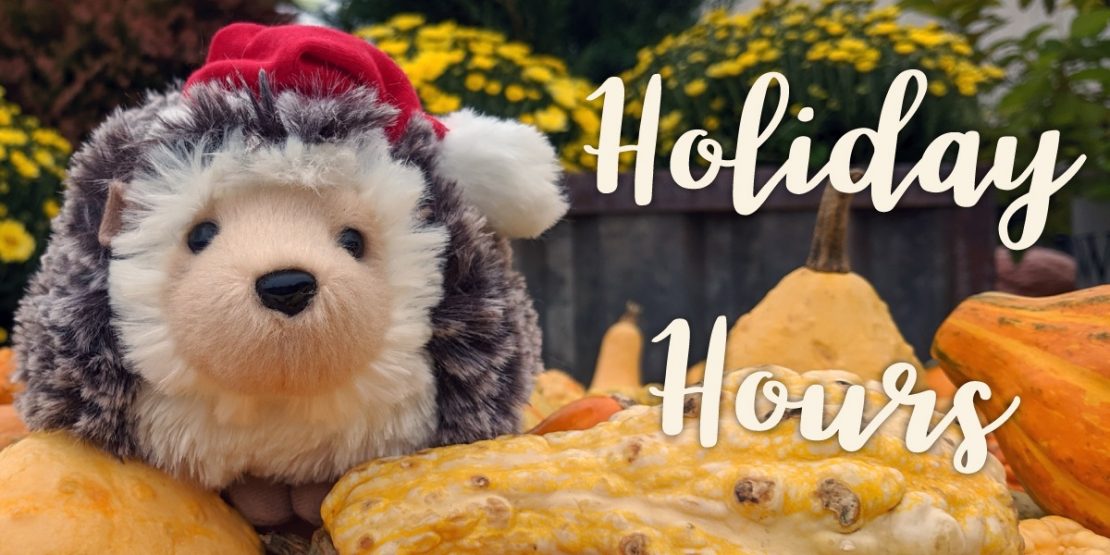 Hedgie santa hol hrs 1200x600