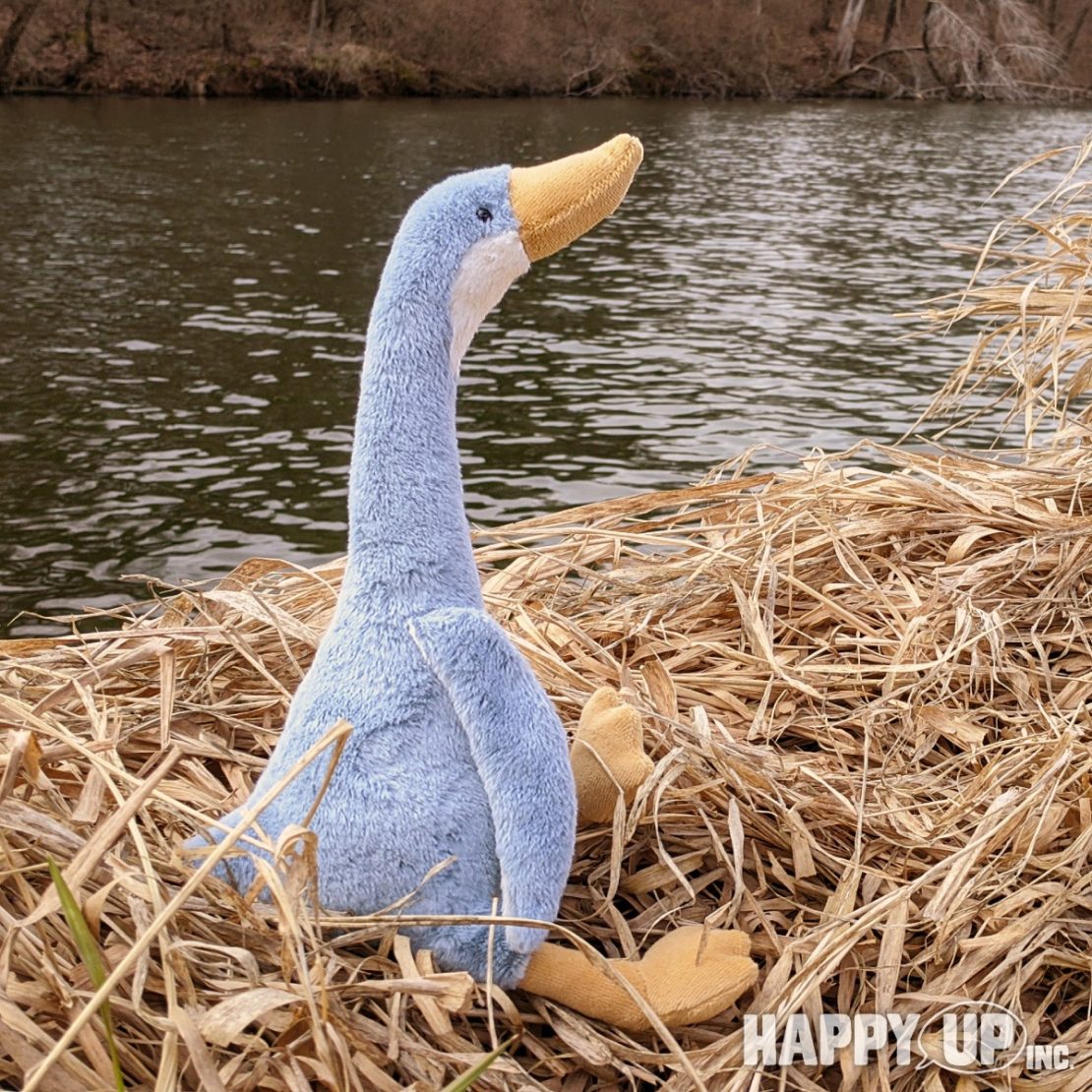 daisy runner duck jellycat