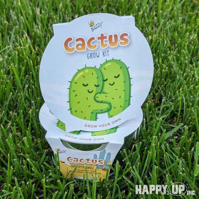 Buzzy Cactus Grow Kit