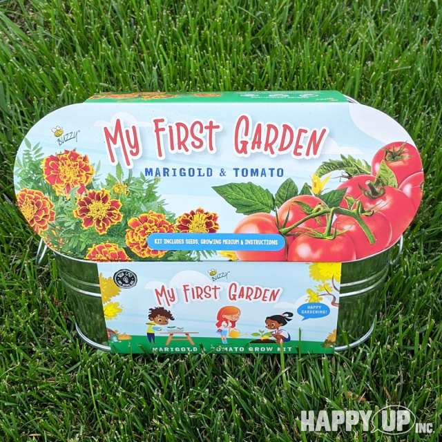 Buzzy My My First Garden Marigold & Tomato Windowsill Grow Kit