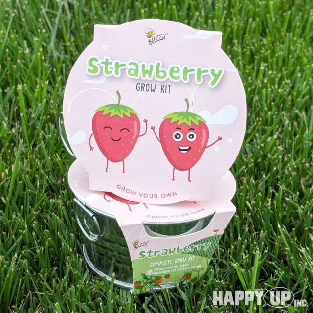 Buzzy Strawberry Grow Kit