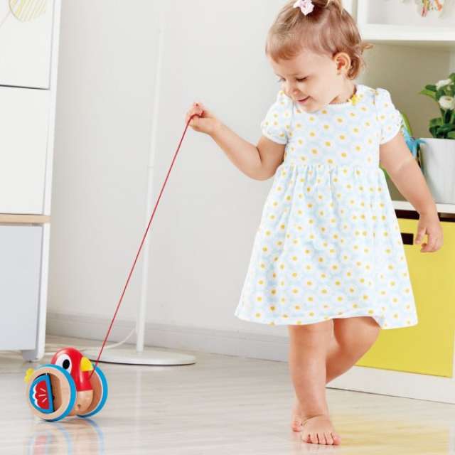 Hape Baby Bird Pull-Along